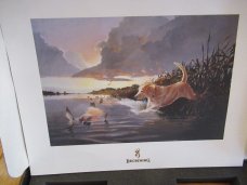 Browning Mallard  Limited Edition  Folding Hunter Model 24