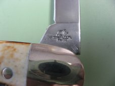 SCHATT & MORGAN  STAG LARGE CIGAR KNIFE #3