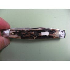 SCHATT & MORGAN STAG MUSKRAT