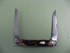 SCHATT & MORGAN STAG MUSKRAT