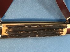 Bulldog Brand Celebrated Anglo Saxon Whittler Knife w/ Great Stag Handles +Blade Etch -5 & 1/4" -NOS