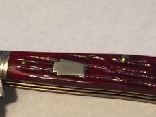 Schatt&Morgan red bone Queen Steel