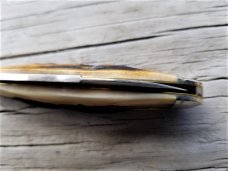 Great Eastern Cutlery GEC Northfield 562118 Sambar Stag Bird Dog Dogleg Knife