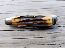 Great Eastern Cutlery GEC Northfield 562118 Sambar Stag Bird Dog Dogleg Knife