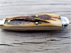Great Eastern Cutlery GEC Northfield 562118 Sambar Stag Bird Dog Dogleg Knife