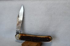 Fight''n Rooster Gray Fox # 75/300 from Soliegin, Germany Great Looking Stag!! New Photo!