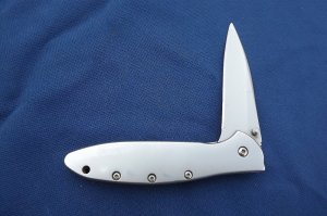 Kershaw 1660  Leek Assisted Knife, Made in the USA!