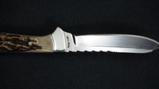 + SCARCE BILL DUFF Custom Knife w/Spine Filework, Stag Handle Scales & Tooled Leather Sheath