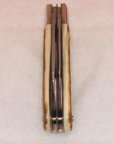 Bulldog Prototype Exotic Fossil 2 Blade Lil Cotton MINT Cond. w/Box