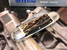 Bulldog CRISP ELEPHANT ETCH AMAZING STAG Sunfish Elephant Toe Knife. New with 2-piece Box