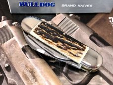 Bulldog CRISP ELEPHANT ETCH AMAZING STAG Sunfish Elephant Toe Knife. New with 2-piece Box