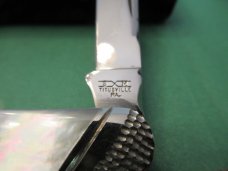 Schatt & Morgan Proto By Painted Pony Pattern # 033448
