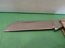 Schatt & Morgan Proto By Painted Pony Pattern # 033448
