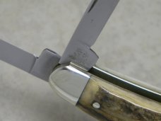 Bulldog Brand Hammer Forged Solingen Germany Pit Bulls Genuine Stag Large Whittler Knife