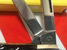 Carl Schlieper / German Eye Brand -3 Blade Whittler Pocket Knife +Nice Bone Handles -NOS +Orig Box