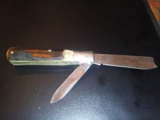 Taylor/Seto Gamecock