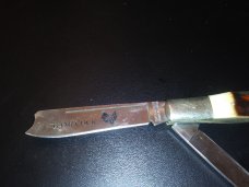 Taylor/Seto Gamecock