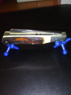 Taylor/Seto Gamecock