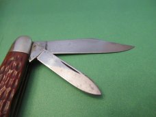 Case XX Bone Cigar Pattern # 62055