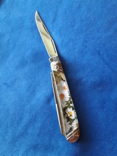 Rough Rider Trapper Daisies RR 2098