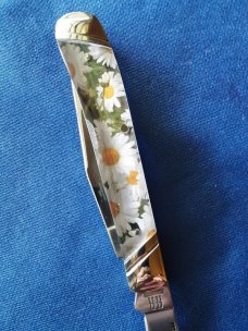 Rough Rider Trapper Daisies RR 2098