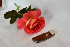 Boker Gentleman's knife model 1004 1980's