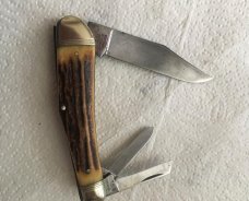 BERTRAM HEN AND ROOSTER SOLINGEN HUMPBACK WHIITLER  *BEAUTY*  (LOVE THEM WHITTLERS)