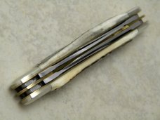 Bulldog Brand Hammer Forged Solingen Germany Stag "25 Years" Congress Knife c.2004