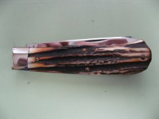GREAT EASTERN 2007 SCOUT TRAPPER WITH BURNT STAG SCALES
