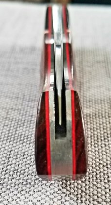 Willem Steenkamp Dino full size KNIFE,Cocobolo and Micarta,WSLIP,New,4", N690