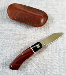 Willem Steenkamp Dino full size KNIFE,Cocobolo and Micarta,WSLIP,New,4", N690