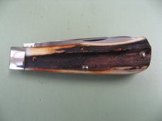 GREAT EASTERN 2007 BURNT STAG SCOUT 