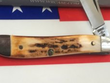 Case xx 1984 Peanut (MDL# 5120 SS) w/ Nice Stag Handles -NOS in NM Condition