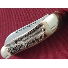Bulldog Brand Knife, 1995, 4" Muskrat, Stag, Acorn, No etch, BKC#782, Collectible, Solingen, Germany