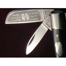 Bulldog Brand Knives, 3-5/8" 4 blade Congress, Buffalo Horn, Double Dog Head, Solingen, Germany