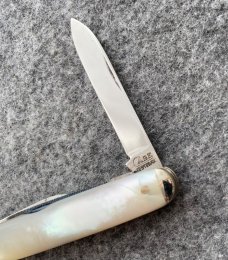 CASE TESTED 8364 TF pearl senator