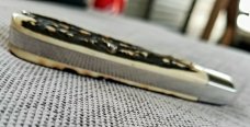 TA Davison Gentleman Jack Knife,NEW,3 3./8",Popcorn Sambar Stag, jeweled liners plus