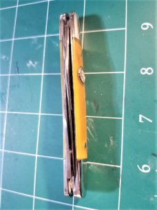 CANAL STREET MUSKRAT 2009 NKCA CLUB KNIFE 245 OF 485 BUTTERSCOTH SMOOTH HORN