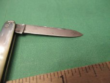 CASE Bradford PA. Pearl Pen 