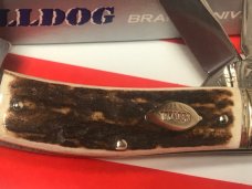 Vintage Bulldog Brand 3 Blade Kentucky Tobacco King Blade Etch w/ Great Deer Stag Handles