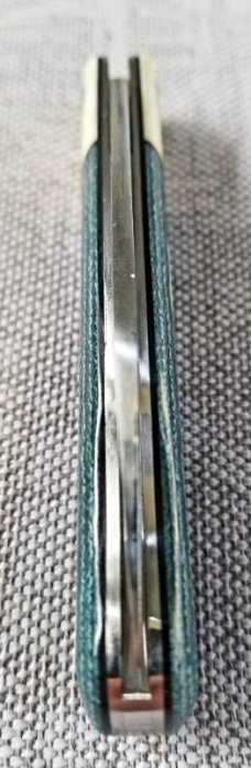 Michael du Pleesis EO Wharnie Knife,3.75" Teal Micarta, Giraffe bone and N690,coa slip new