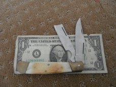 LARGE Two blade Pocket KNIFE  With CAMEL BONE SCALES