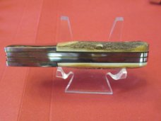Case XX 1999 Stag Barlow Pattern # 52009 1/2 
