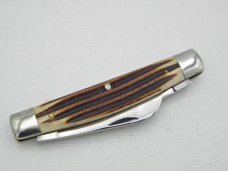 Queen Cutlery Co. #31 Half Congress in Winterbottom Bone: 4” closed; 1961 - 1971,