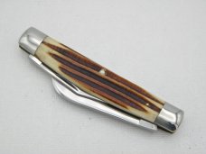 Queen Cutlery Co. #31 Half Congress in Winterbottom Bone: 4” closed; 1961 - 1971,