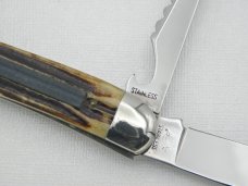 Queen Cutlery Co. #46 Fish Knife in Winterbottom Bone: 5 ” closed; early 1950s, Q over STAINLESS