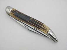 Queen Cutlery Co. #46 Fish Knife in Winterbottom Bone: 5 ” closed; early 1950s, Q over STAINLESS