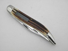 Queen Cutlery Co. #46 Fish Knife in Winterbottom Bone: 5 ” closed; 1958 -1960, etched blade, Q STEEL