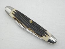Queen Cutlery Co. #21 Sleeveboard Pen  in Winterbottom Bone: 3 1/4” closed; 1958 – 1960, etched blad