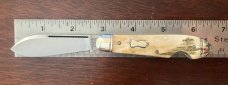Great Eastern Cutlery Northfield 852118EO, Bullet End Jack, Nice Polished Stag Handle, (GEC 85), New